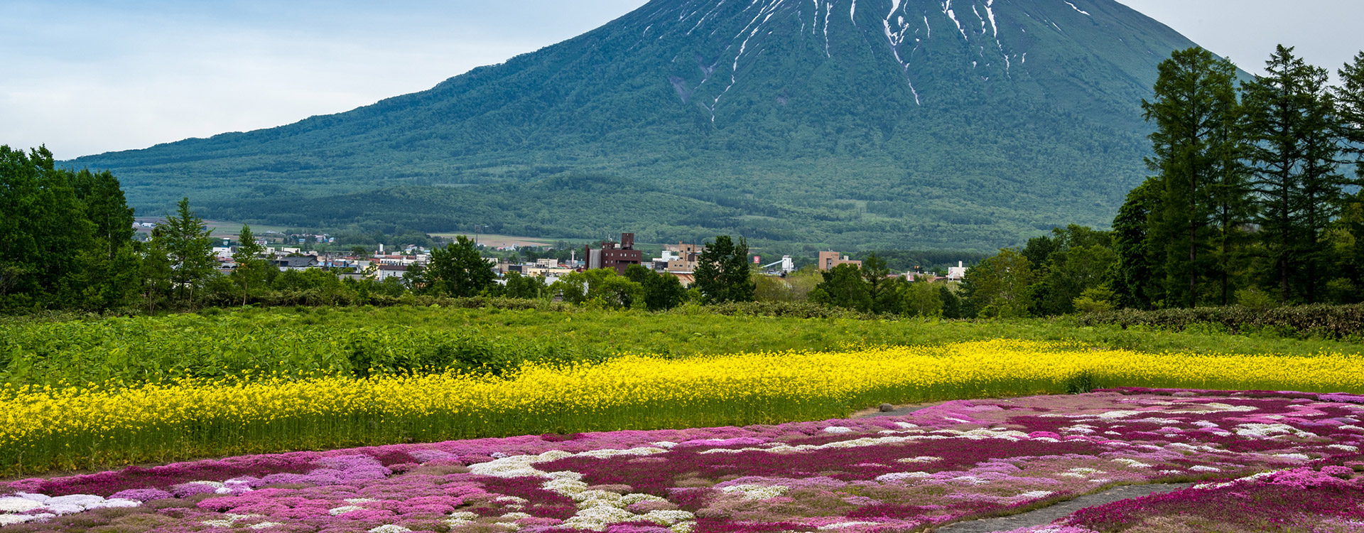 Aoyama Lodge - Summer mountain